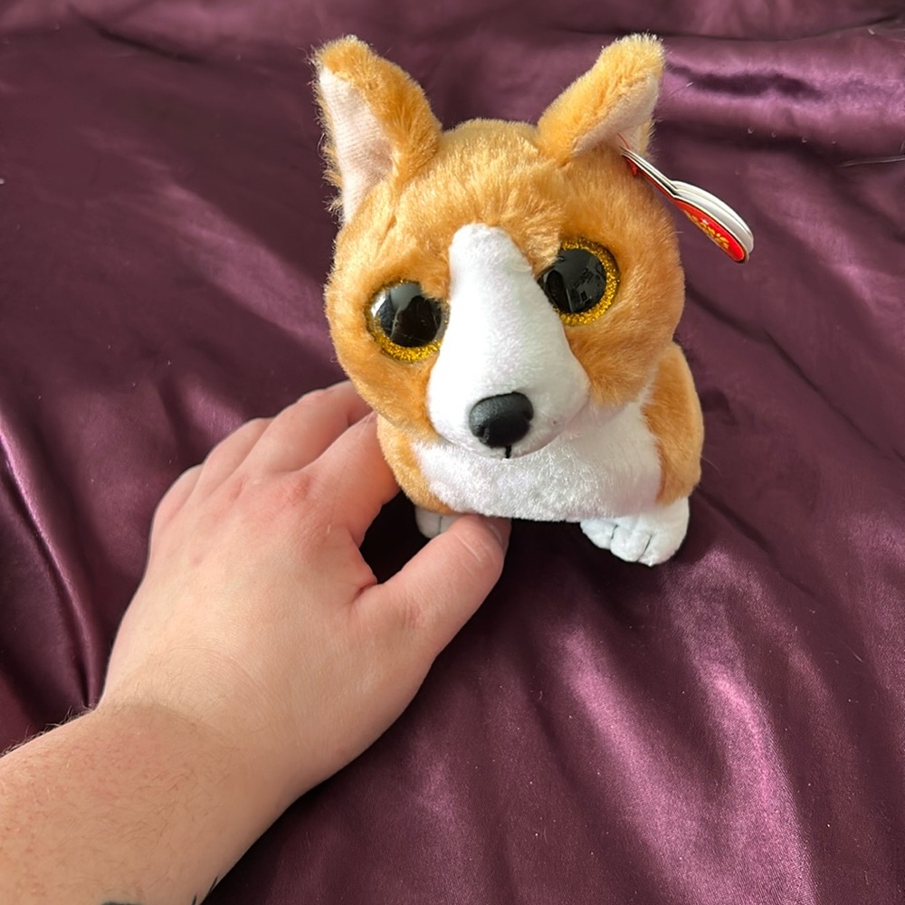 Colin Corgi Ty Beanie Babies plus